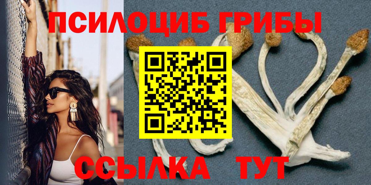 Псилоцибиновые грибы Psilocybe  Галлюциногенные грибы мухоморы  Новочеркасск  Вход с VPN 